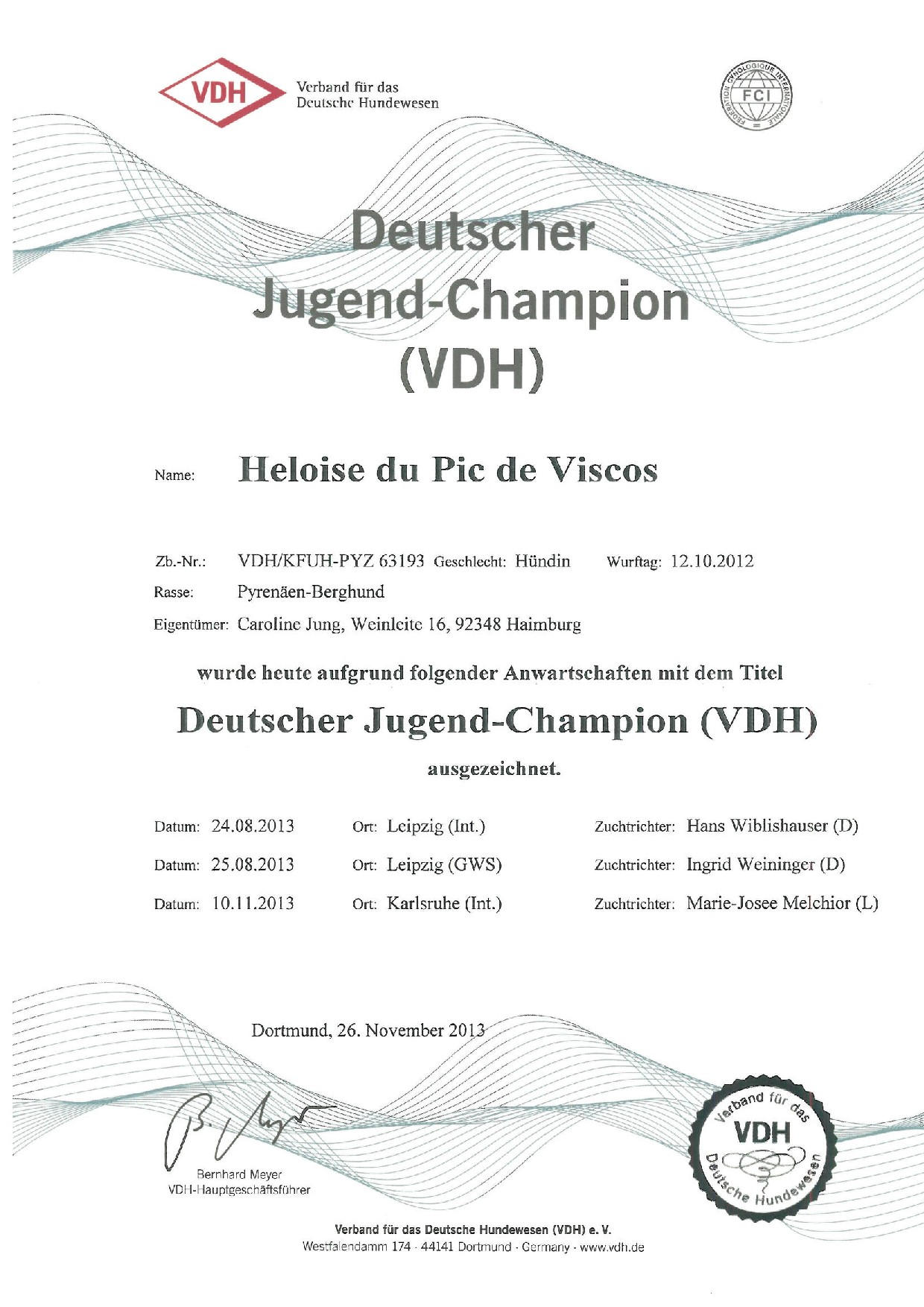 Pyrenäenberghund - VDH-Jugendsieger - Dezember 2013 - Gruppenbild